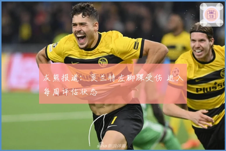 灰熊报道：莫兰特左脚踝受伤 进入每周评估状态