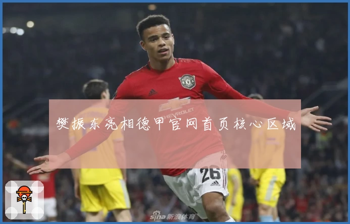 樊振东亮相德甲官网首页核心区域