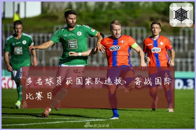 多名球员获国家队选拔，备战国际比赛日