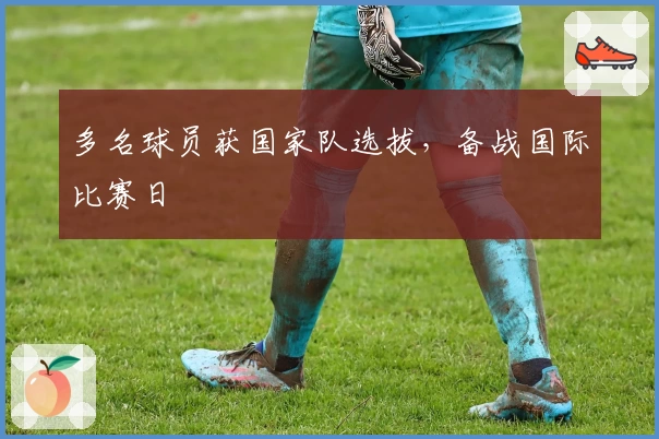 多名球员获国家队选拔，备战国际比赛日